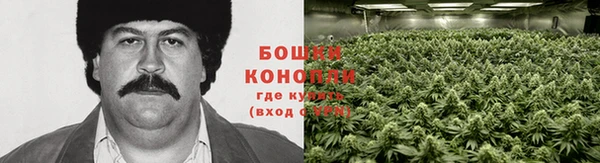 ECSTASY Белокуриха