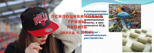 трава Беломорск