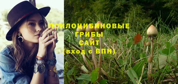 ECSTASY Белокуриха