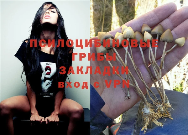 трава Белоозёрский