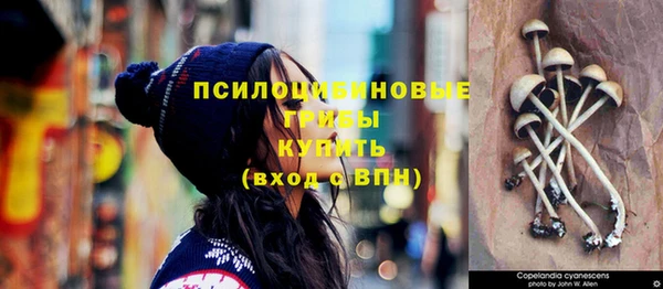 ECSTASY Белокуриха