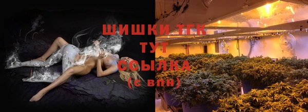 ECSTASY Белокуриха