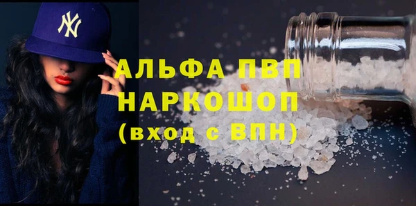 ECSTASY Белокуриха
