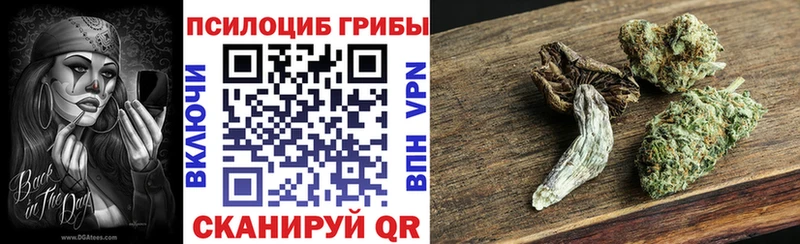 Псилоцибиновые грибы мицелий  Горно-Алтайск 